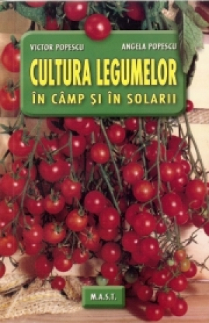 Cultura legumelor in camp si solarii