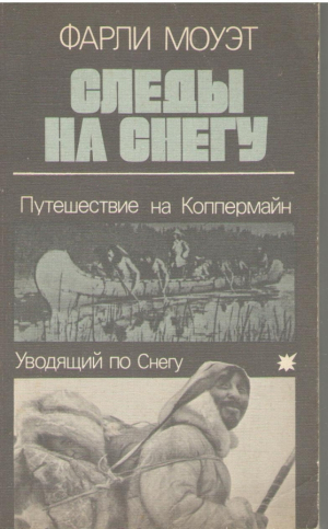 Следы на снегу