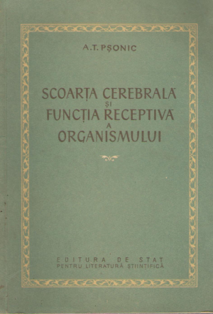 Scoarta cerebrala si functia receptiva a organismului