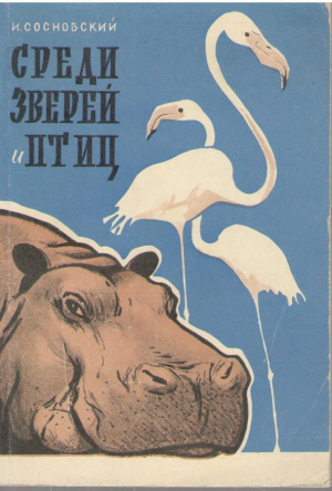 Среди зверей и птиц