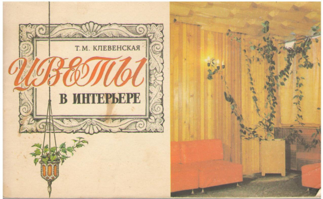 Цветы в интерьере (a/n2)