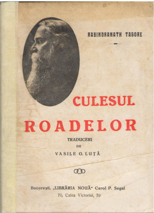 culesul roadelor