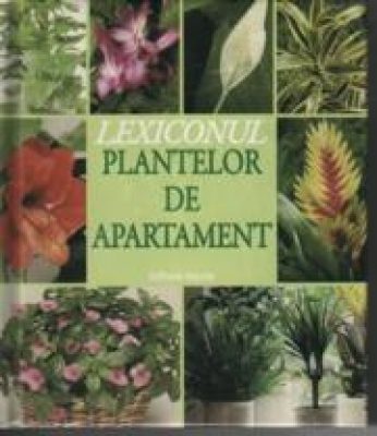 Lexiconul plantelor de apartament