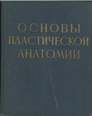 основы пластической анатомии