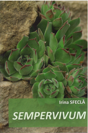 Sempervivum
