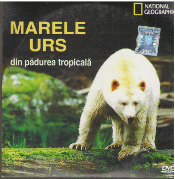 Marele urs din padurea tropicala DVD
