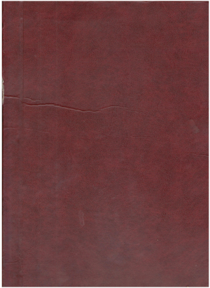 Metodele de receptare a mitului Medeei in literatura germana contemporana Teza de doctor in filologie