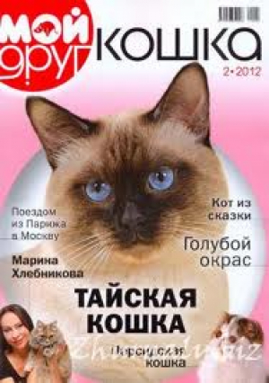 Мой друг кошка