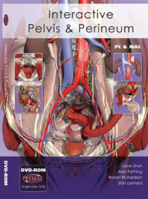 Interactive Pelvis and Perineum DVD