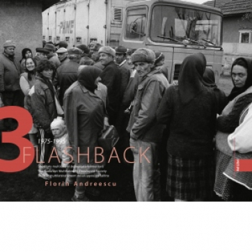 Flashback 3