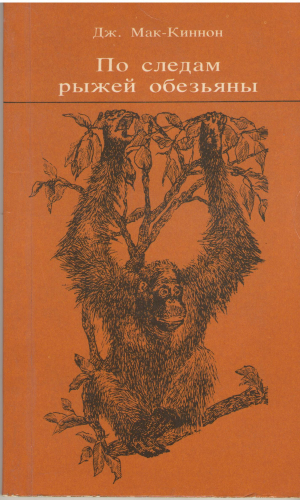 по следам рыжей обезьяны In Search of the Red Ape
