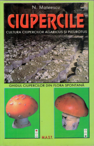 Ciupercile  Cultura ciupercilor agaricus si pleurotus  Ghidul ciupercilor din flora spontana