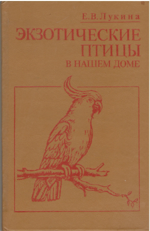 экзотические птицы в нашем доме