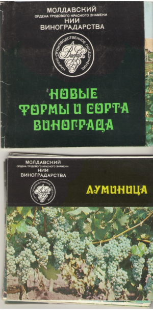 Новые формы и сорта винограда  НПО Виерул