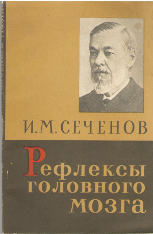 рефлексы головного мозга