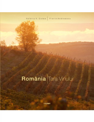 Romania Tara Vinului