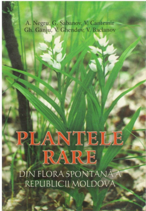 Plantele rare din flora spontana a Republicii Moldova