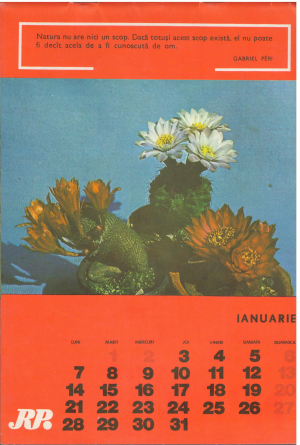 calendar anul 1980 romania oficiul national de turism carpati bucuresti