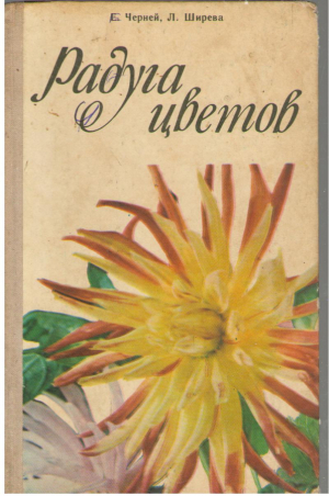 Радуга цветов