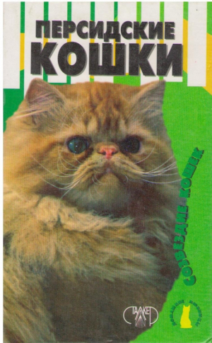 Персидские кошки