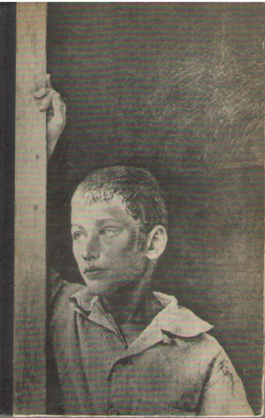 Над пропастью во ржи, Выше стропила плотники, Хорошо ловится рыбка-бананка, Человек, который смеялся, Голубой период Де Домье-Смита, Лапа-растяпа