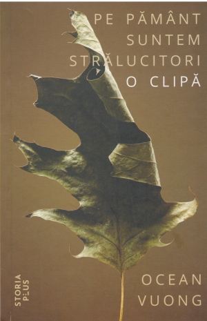 pe pamant suntem stralucitori o clipa