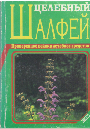 Целебный шалфей  Проверенное веками лечебное средство