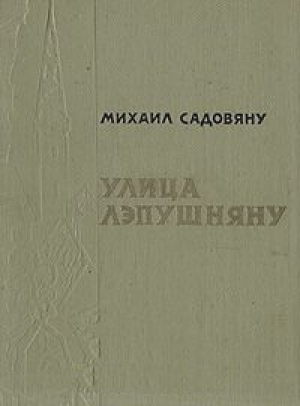 Улица Лэпушняну