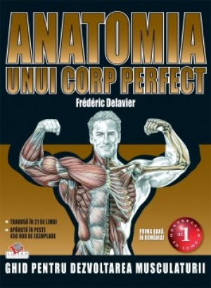 Anatomia unui corp perfect
