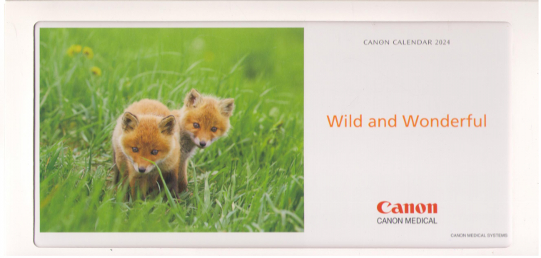 wild and wonderful canon calendar