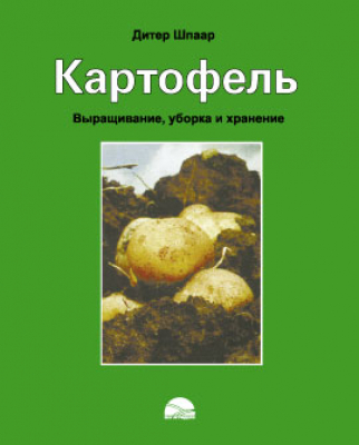 Картофель