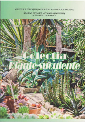colectia plante suculente