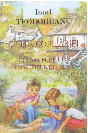 ulita copilariei in casa bunicilor curcubeul din sipet
