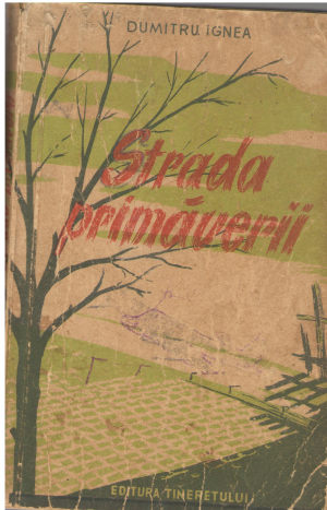 strada primaverii
