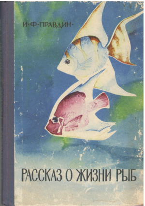 рассказ о жизни рыб
