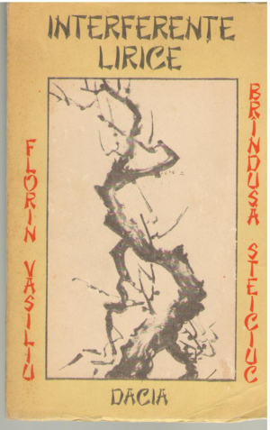 Interferente lirice constelatia haiku