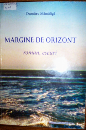 Margine de orizont