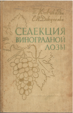 селекция виноградной лозы