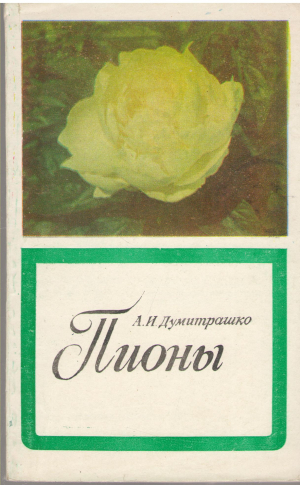 пионы