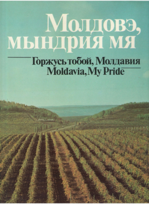 Молдовэ мындрия мя  Горжусь тобой Молдавия  Moldavia My Pride