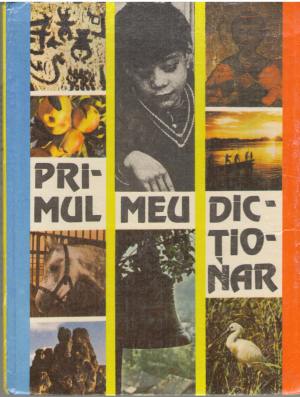 Primul meu dictionar