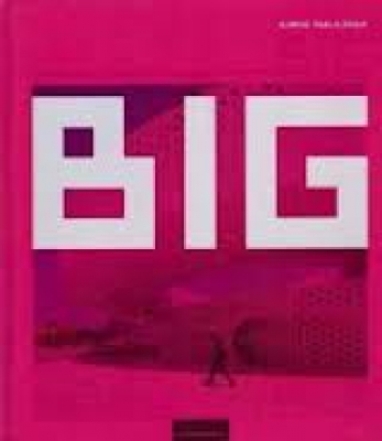 BIG - Bjarke Ingels Group