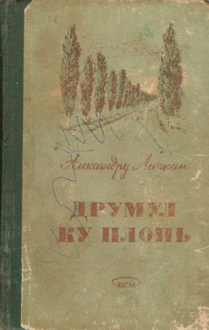 друмул ку плопь drumul cu plopi