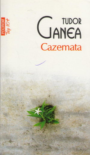 cazemata roman
