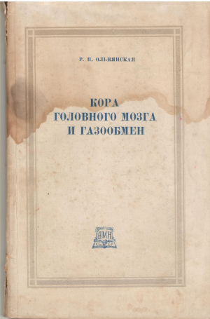 кора головного мозга и газообмен