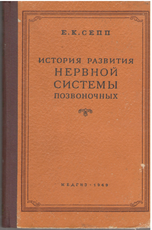 история развития нервной системы позвоночных от бесчерепных до человека