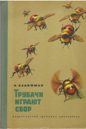 трубачи играют сбор