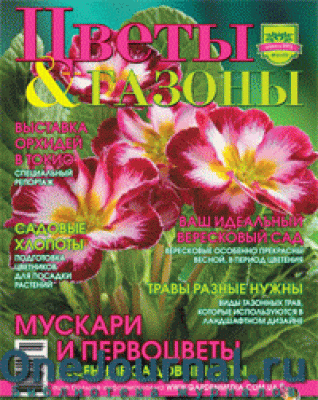 Цветы и газоны
