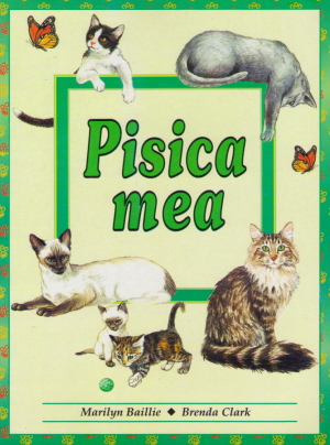 pisica mea