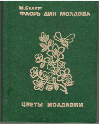 Флорь дин Молдова Цветы Молдавии Flori din Moldova